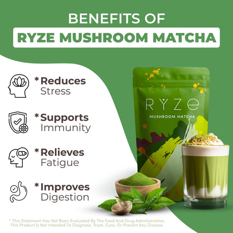 Benefits of Ryze Mushroom Matcha.