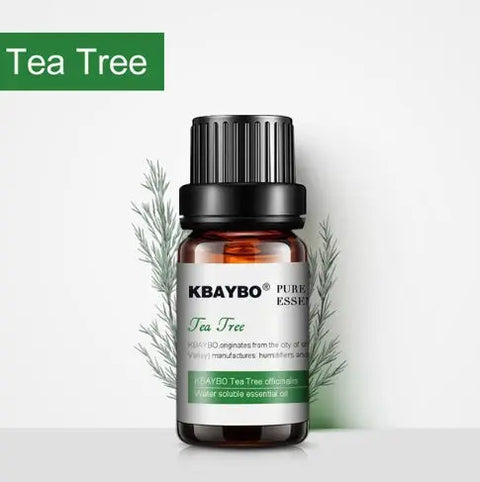 Kbaybo tea tree oil for purifying blends, 100% pure extract for diffuser, massage, stress relief.