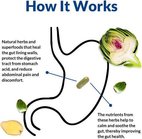 Diagram of the digestive system with herbs and a capsule, explaining how natural remedies work.