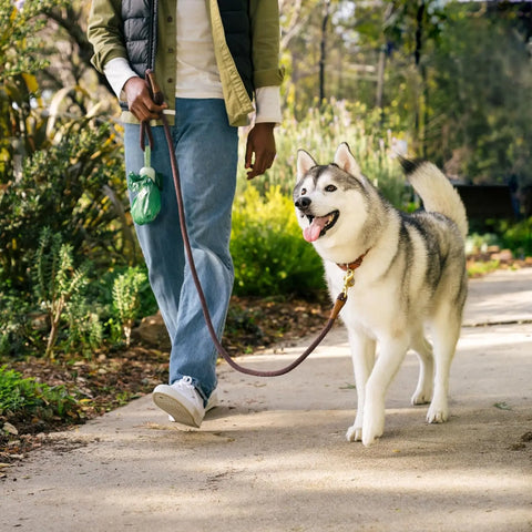 Man walking with a Dog holding Earth Rated Dog Poop Bag Holder with Dispenser.