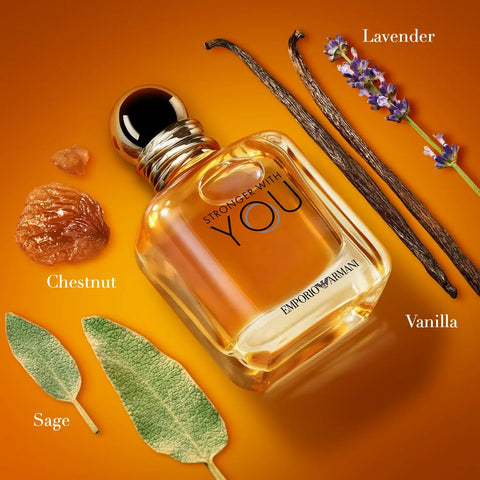 armani emporio Lavender chestnut