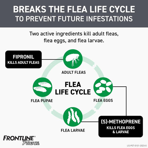 Frontline Plus with Fipronil & S-Methoprene breaks flea life cycle—kills eggs, larvae, and adult fleas on cats.
