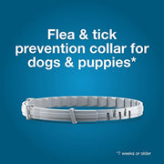Flea and tick prevention collar for dogs and puppies 