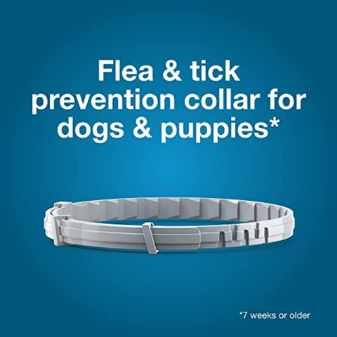 Flea and tick prevention collar for dogs and puppies 