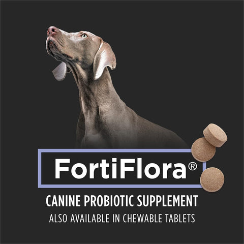 FortiFlora canine probiotic supplement with a dog 