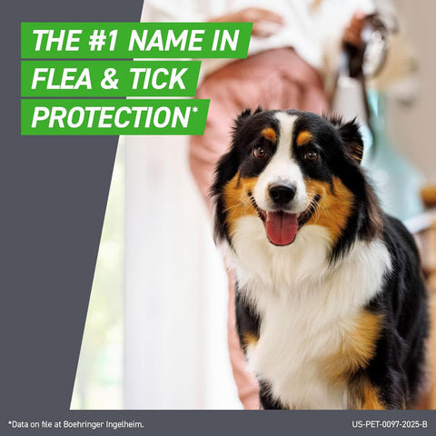 Dog with a person holding it, with text about flea and tick protection on a gray background.