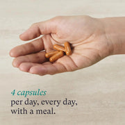 nutrafol women capsules 4