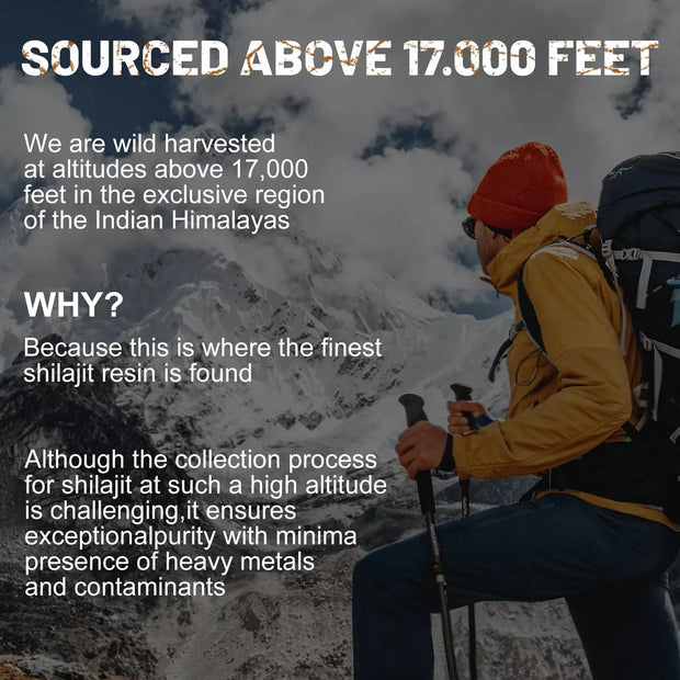 shilajit 100% original
