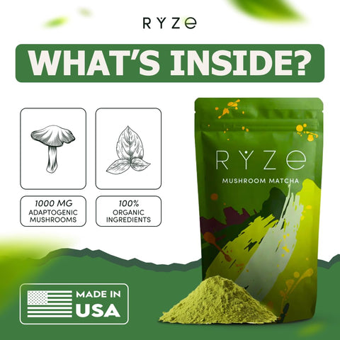Ryze Mushroom Matcha organic ingredients.