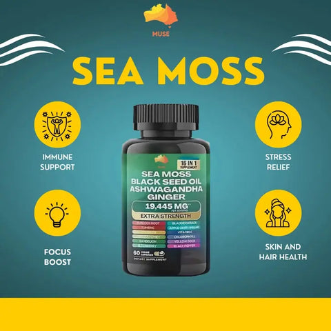 Sea Moss, Black Seed Oil, Ashwagandha &amp; Ginger - Extra Strength Supplement (19445 mg) - 60 Count THE EA STORE