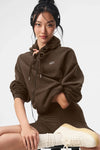 Alo Yoga Unisex Accolade Hoodie in espresso brown fleece, showing the cozy pullover with subtle logo detail.