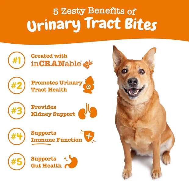 Zesty Paws vet‑recommended bladder support dog treats. The E.A.