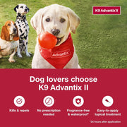 K9 Advantix II Flea and Tick Prevention XL size ensures best flea defense for large breed dogs.