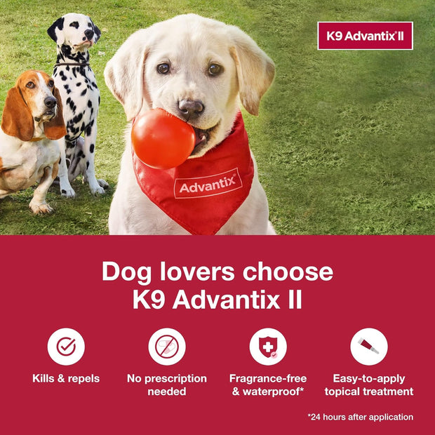 K9 Advantix II Flea and Tick Prevention XL size ensures best flea defense for large breed dogs.