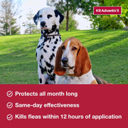 k9 Advantix 6 Dose Monthly