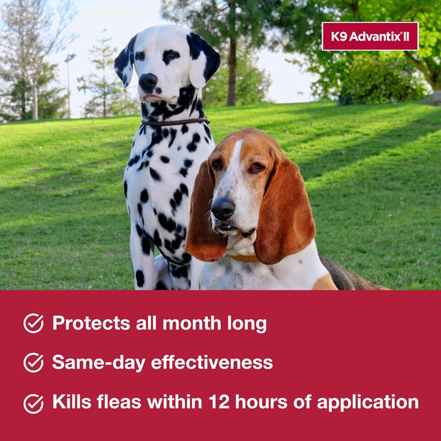 k9 Advantix 6 Dose Monthly