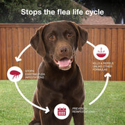 Stop the Flea Cycle with K9 Advantix II Flea and Tick Prevention XL vet trusted.