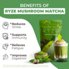 Organic RYZE Superfoods Mushroom Matcha powder with 6 functional mushrooms and ceremonial-grade Japanese matcha for cognitive support.